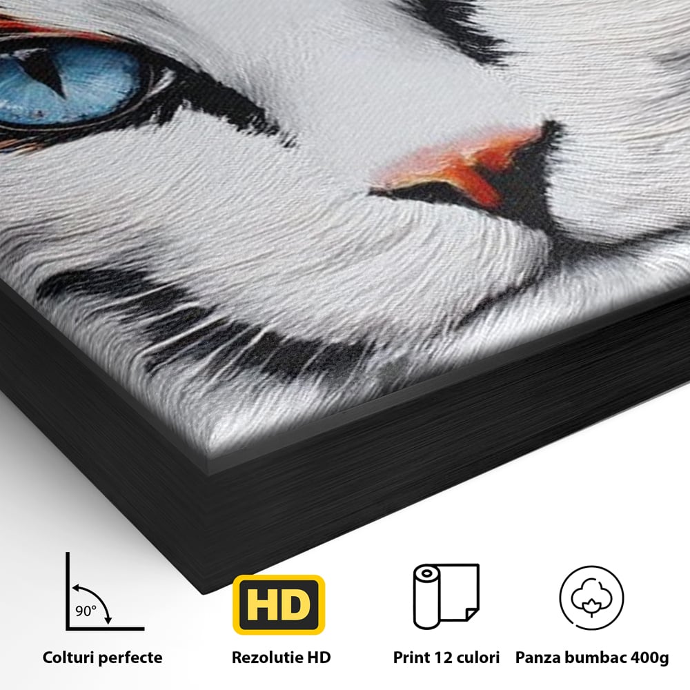 Detaliu al suprafetei: tablou canvas cu ochi de pisica, in rama de aluminiu negru