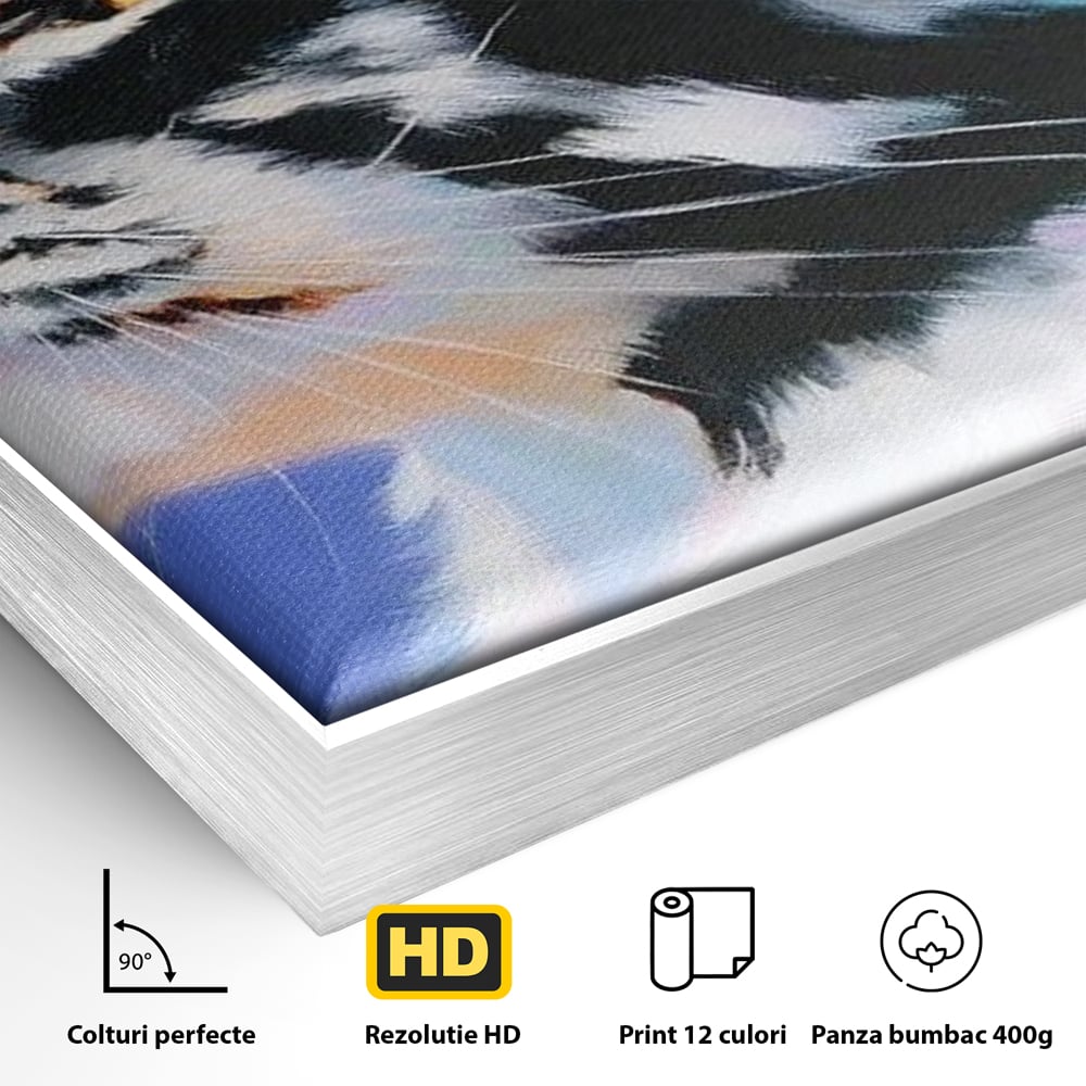 Detaliu al suprafetei: pictura cu profil de pisica, in rama de aluminiu argintiu