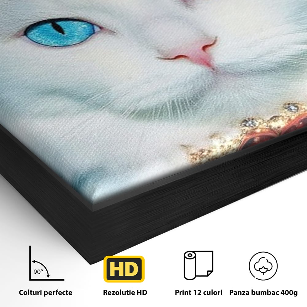 Detaliu al suprafetei: tablou canvas cu pisica alba regala, in rama de aluminiu negru
