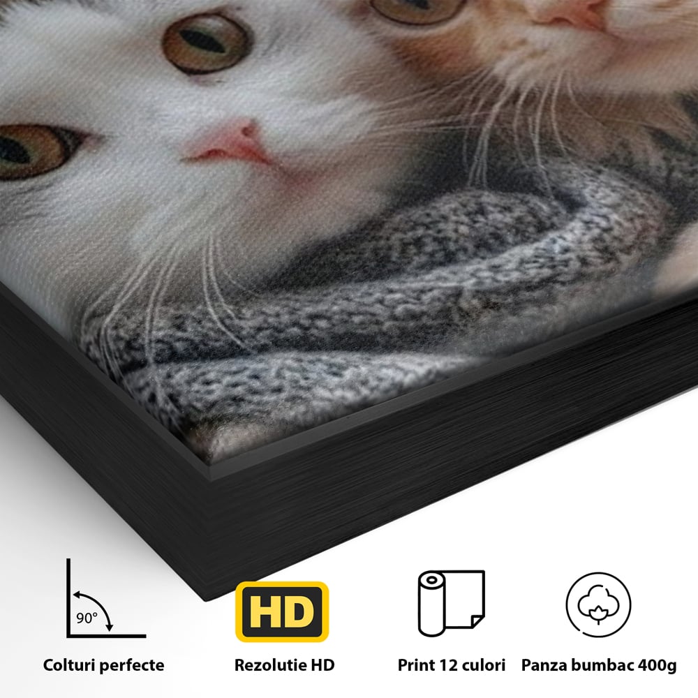 Detaliu al suprafetei: tablou canvas cu pisici in paris, in rama de aluminiu negru