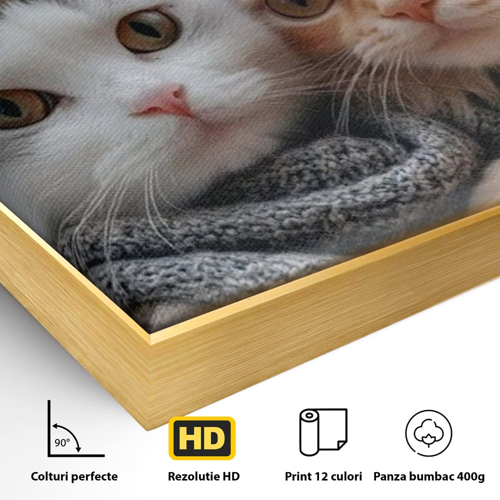 Detaliu al suprafetei: tablou canvas cu pisici in paris, in rama de aluminiu auriu