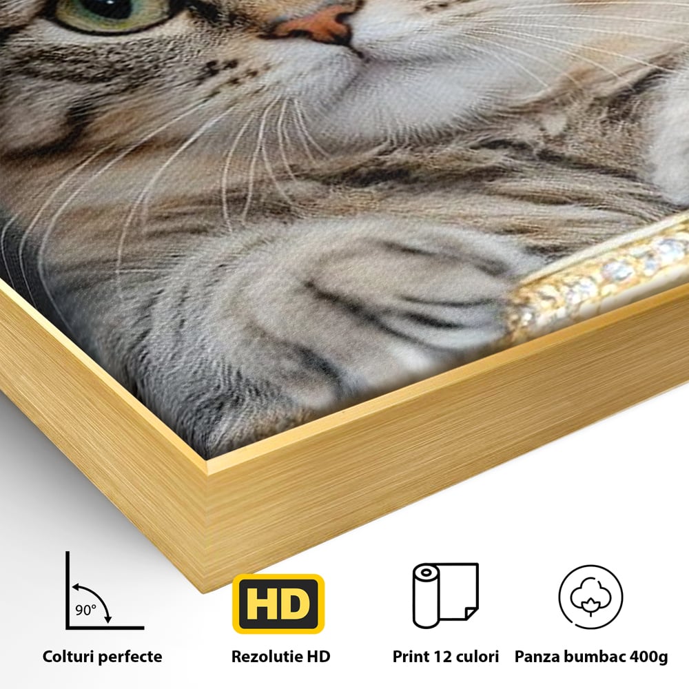 Detaliu al suprafetei: tablou canvas cu motan purtand coroana, in rama de aluminiu auriu