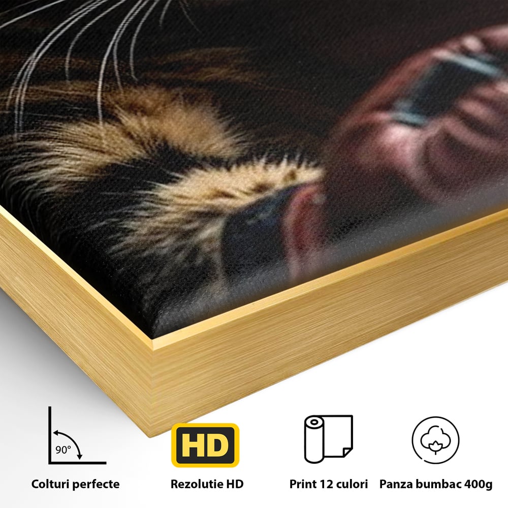 Detaliu al suprafetei: tablou canvas cu motan boxer, in rama de aluminiu auriu
