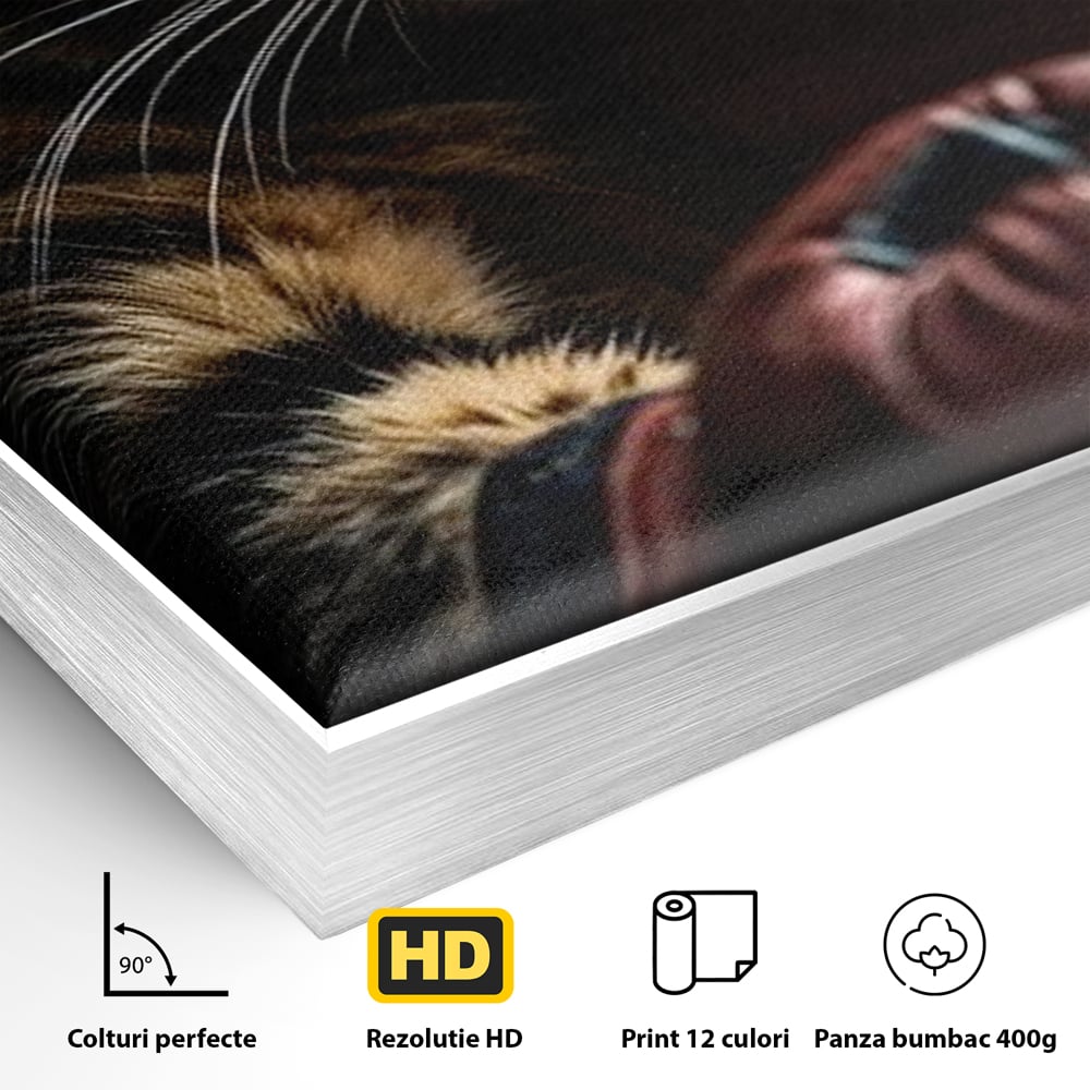 Detaliu al suprafetei: tablou canvas cu motan boxer, in rama de aluminiu argintiu