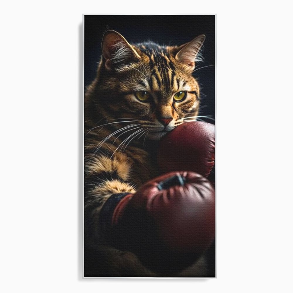 Tablou canvas cu tablou canvas cu motan boxer, in rama de aluminiu argintiu