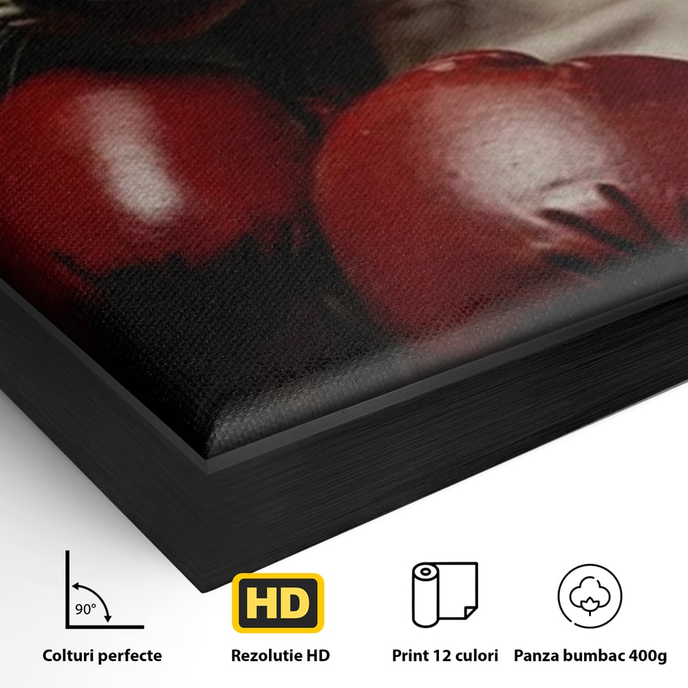 Detaliu al suprafetei: tablou canvas cu motan sphynx boxer, in rama de aluminiu negru
