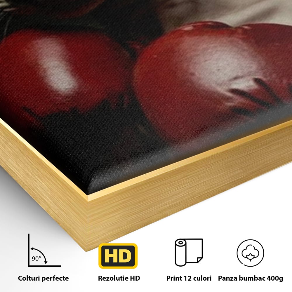 Detaliu al suprafetei: tablou canvas cu motan sphynx boxer, in rama de aluminiu auriu