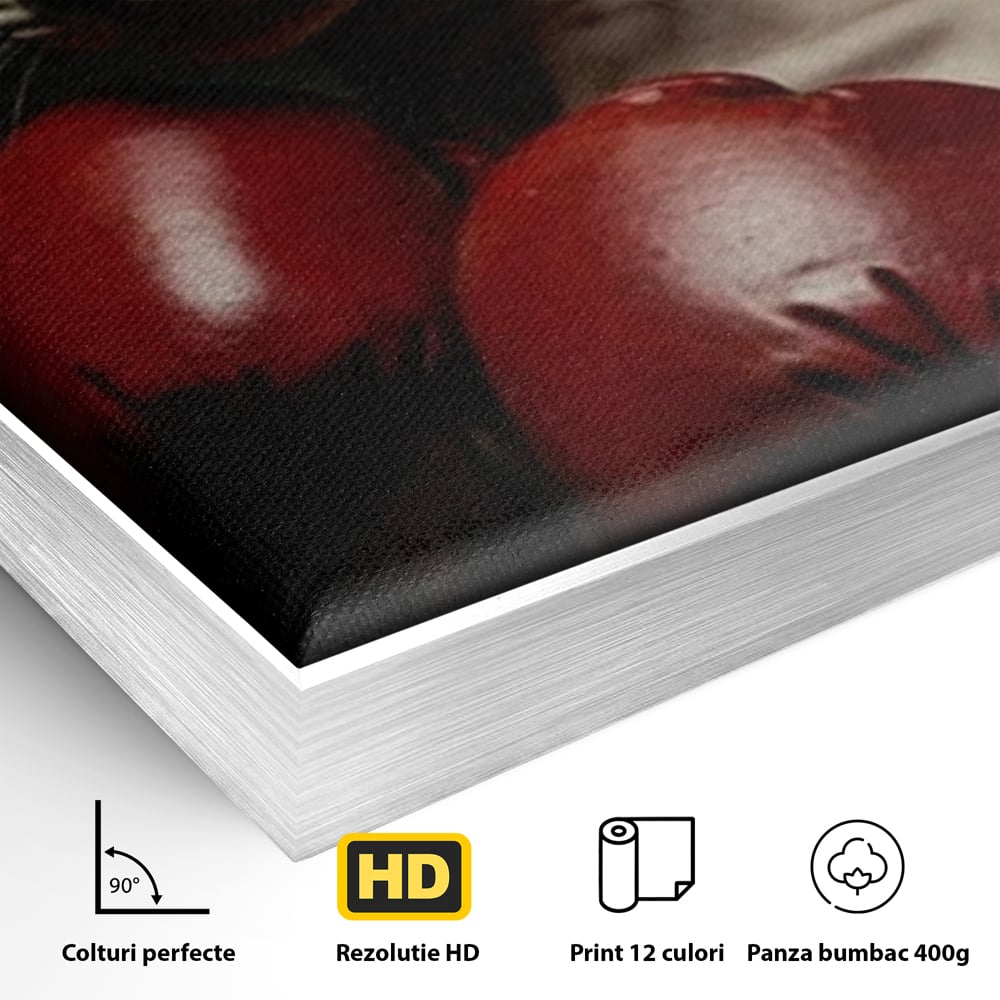 Detaliu al suprafetei: tablou canvas cu motan sphynx boxer, in rama de aluminiu argintiu