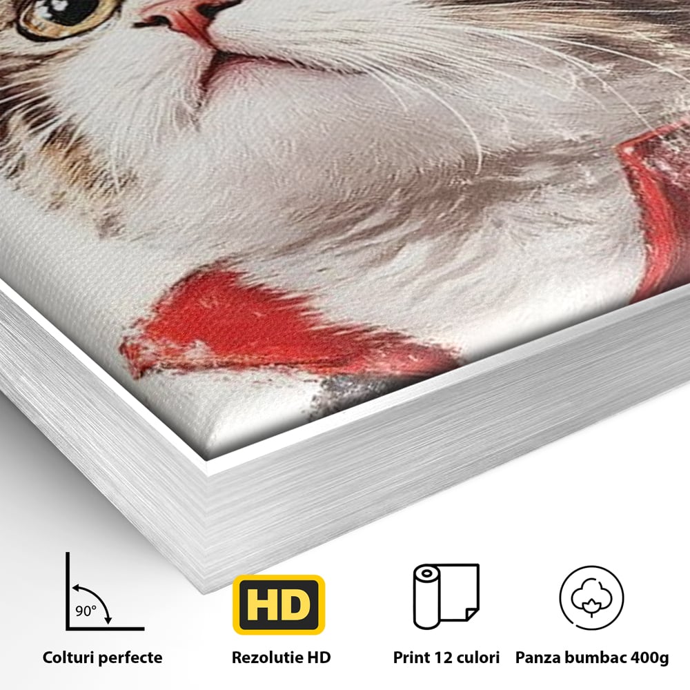 Detaliu al suprafetei: tablou canvas cu motan pirat, in rama de aluminiu argintiu