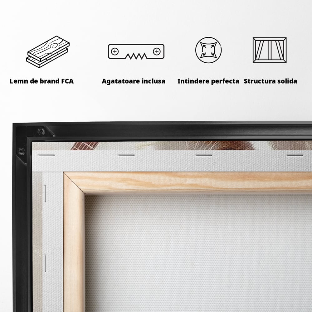 Spatele produsului, cu sasiu din lemn, capse metalice si agatatoare