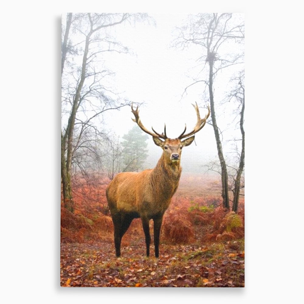 Tablou canvas cu tablou canvas cu cerb in padure cu ceata, fara rama, pe sasiu de lemn