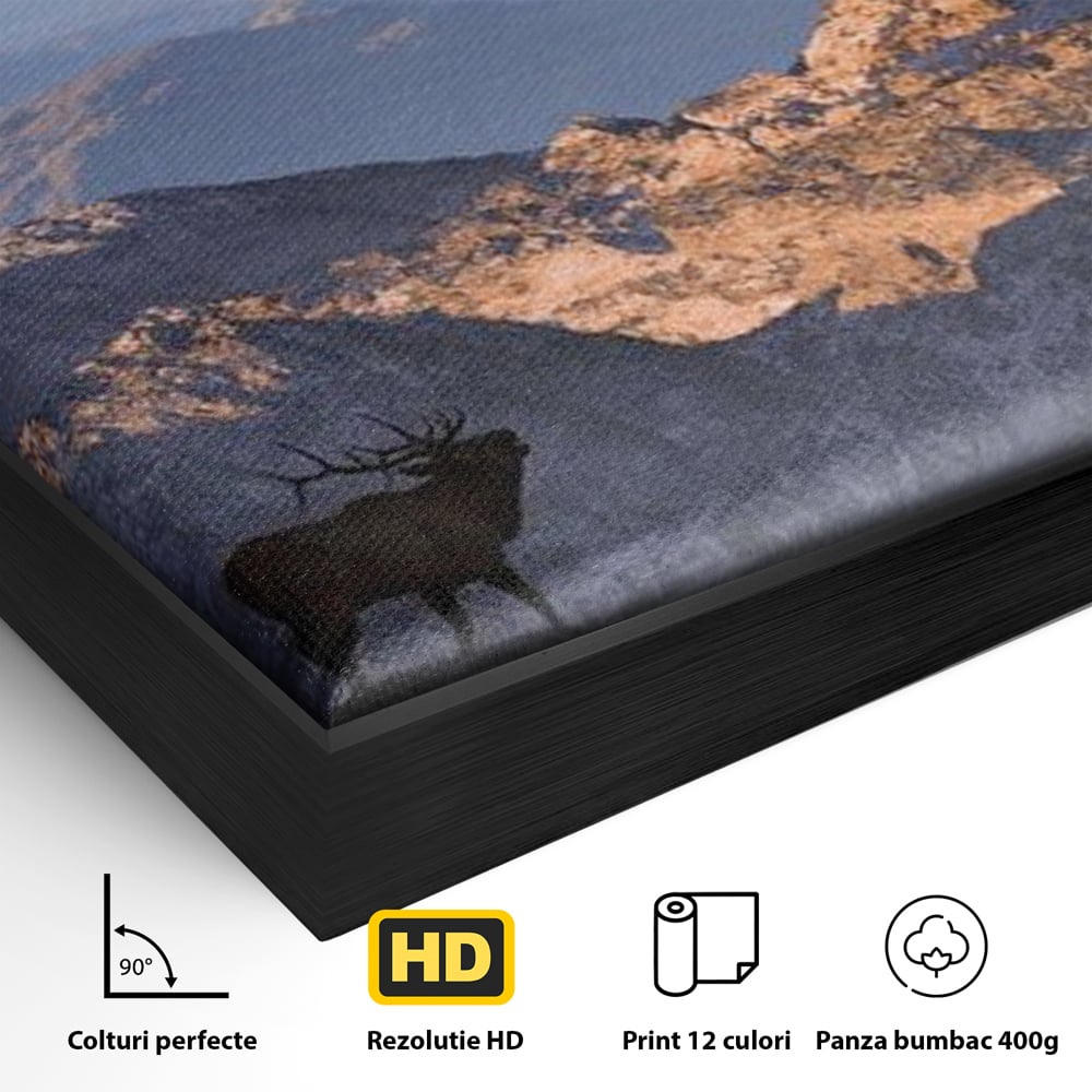 Detaliu al suprafetei: tablou canvas cu elan si munti, in rama de aluminiu negru