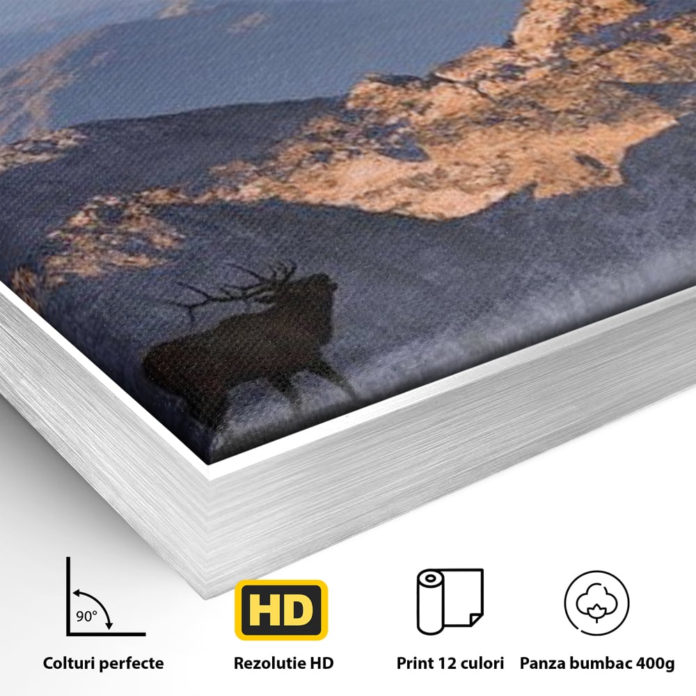 Detaliu al suprafetei: tablou canvas cu elan si munti, in rama de aluminiu argintiu