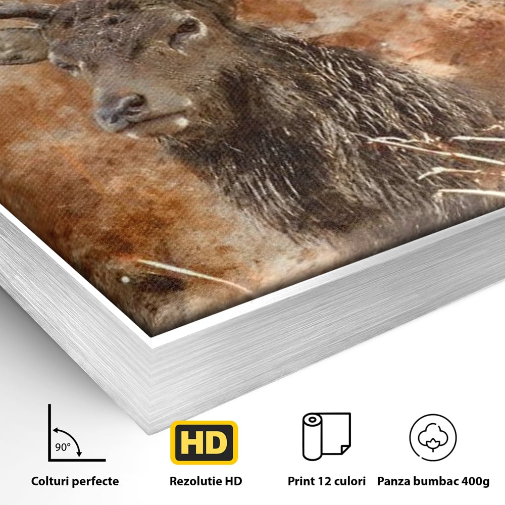 Detaliu al suprafetei: tablou canvas cu cerb in padure, in rama de aluminiu argintiu