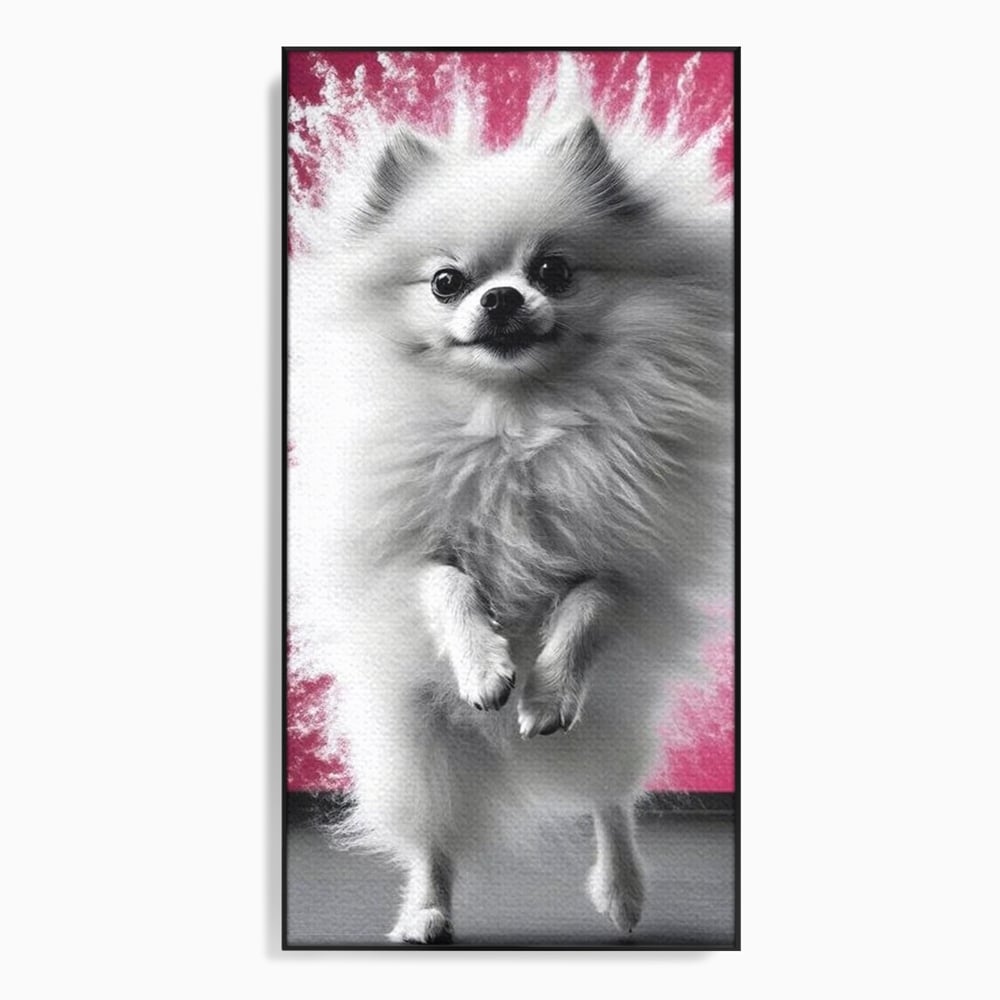 Tablou canvas cu tablou canvas cu caine pomeranian alb, in rama de aluminiu negru