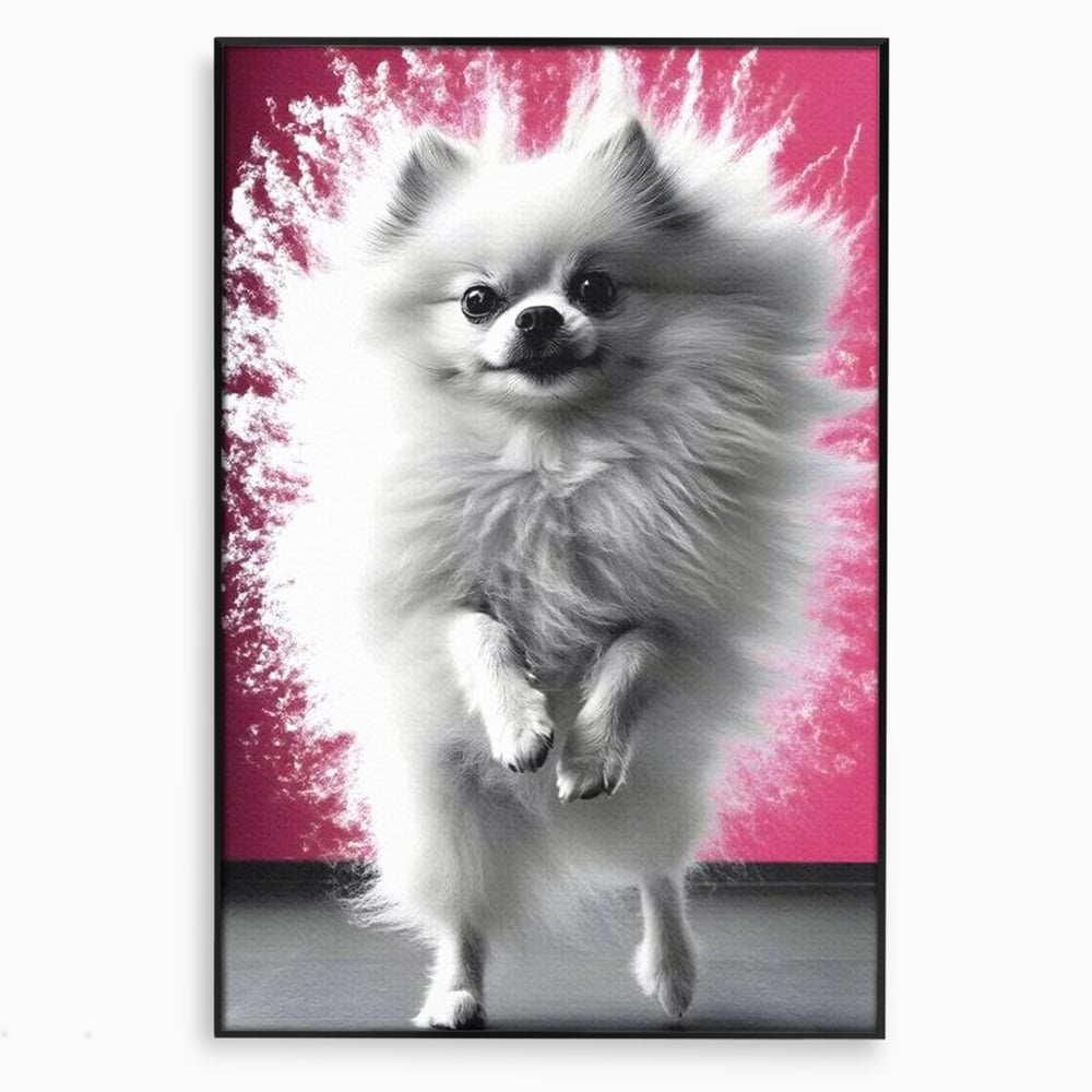 Tablou canvas cu tablou canvas cu caine pomeranian alb, in rama de aluminiu negru