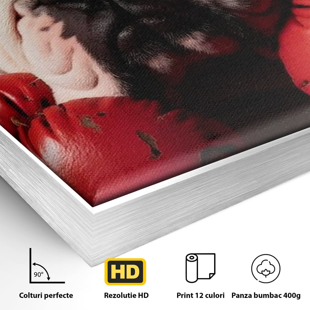 Detaliu al suprafetei: tablou canvas cu bulldog in manusi de box, in rama de aluminiu argintiu
