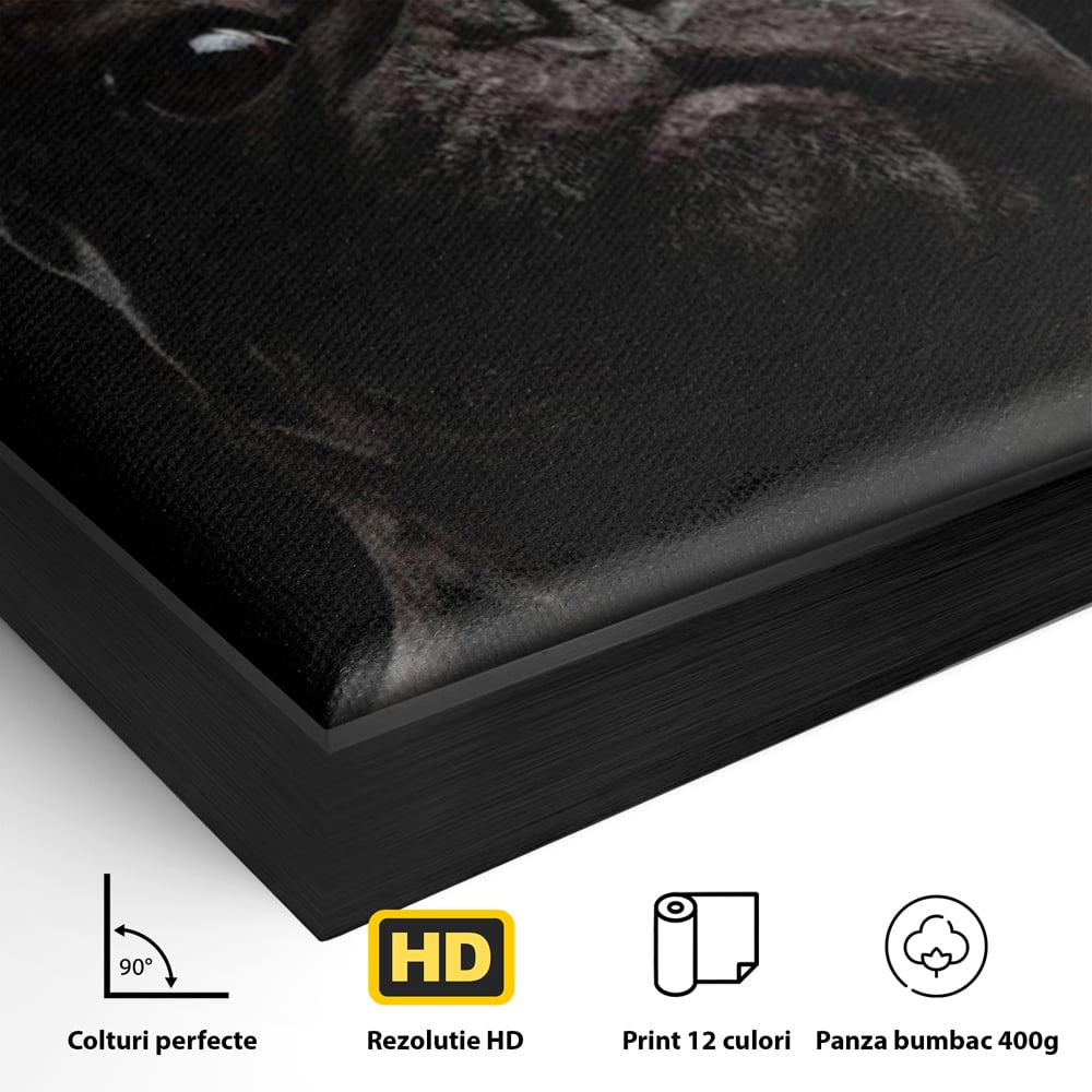 Detaliu al suprafetei: tablou canvas cu bulldog in umbra, in rama de aluminiu negru