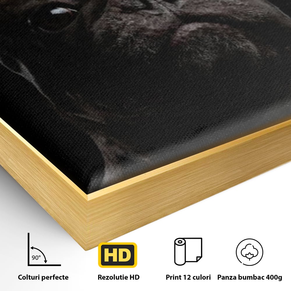 Detaliu al suprafetei: tablou canvas cu bulldog in umbra, in rama de aluminiu auriu