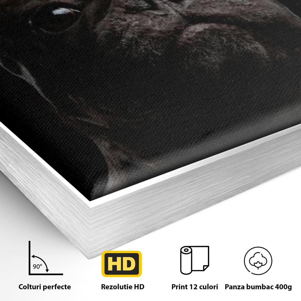 Detaliu al suprafetei: tablou canvas cu bulldog in umbra, in rama de aluminiu argintiu
