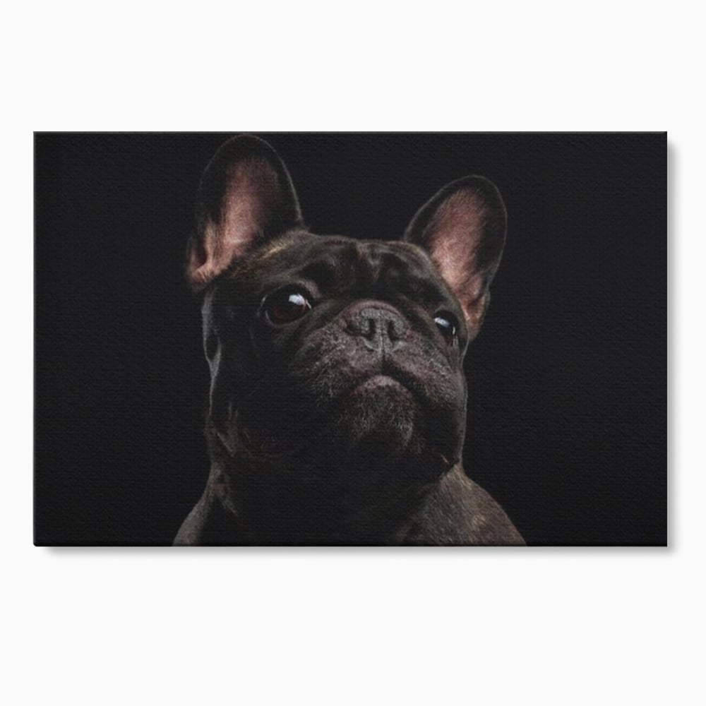 Tablou canvas cu tablou canvas cu bulldog in umbra, fara rama, pe sasiu de lemn
