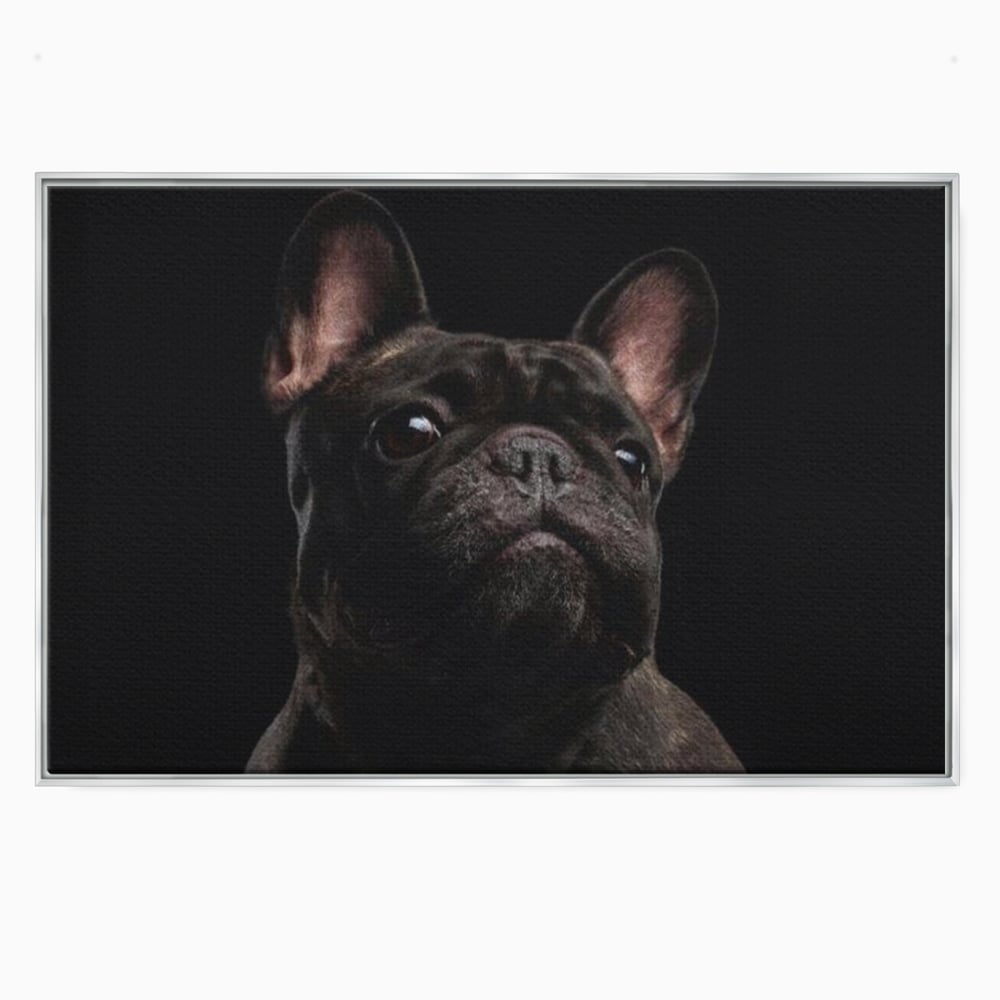 Tablou canvas cu tablou canvas cu bulldog in umbra, in rama de aluminiu argintiu