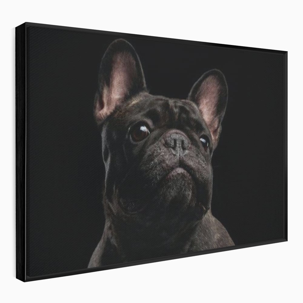 Tablou canvas cu tablou canvas cu bulldog in umbra, in rama de aluminiu negru