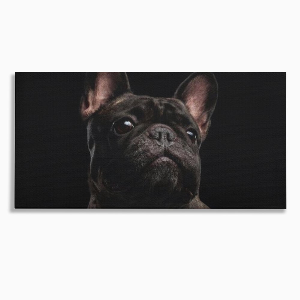 Tablou canvas cu tablou canvas cu bulldog in umbra, fara rama, pe sasiu de lemn