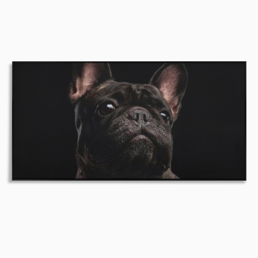 Tablou canvas cu tablou canvas cu bulldog in umbra, in rama de aluminiu negru
