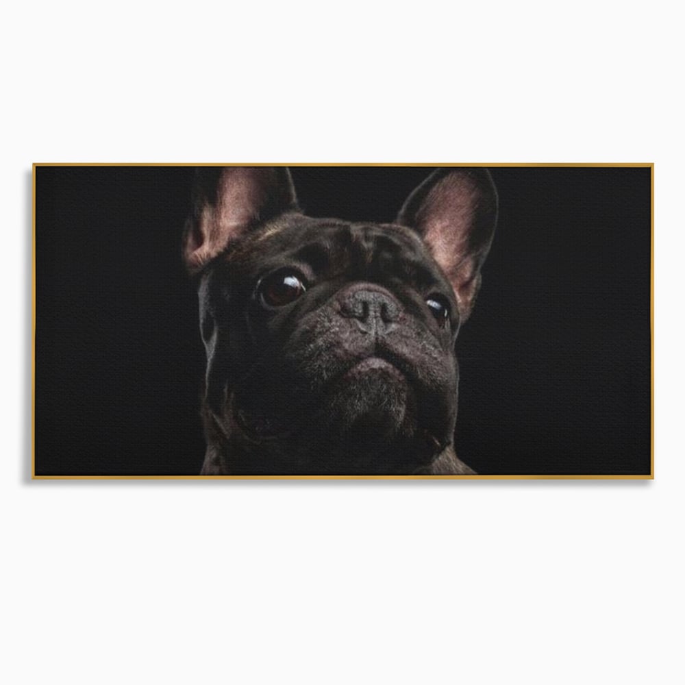 Tablou canvas cu tablou canvas cu bulldog in umbra, in rama de aluminiu auriu