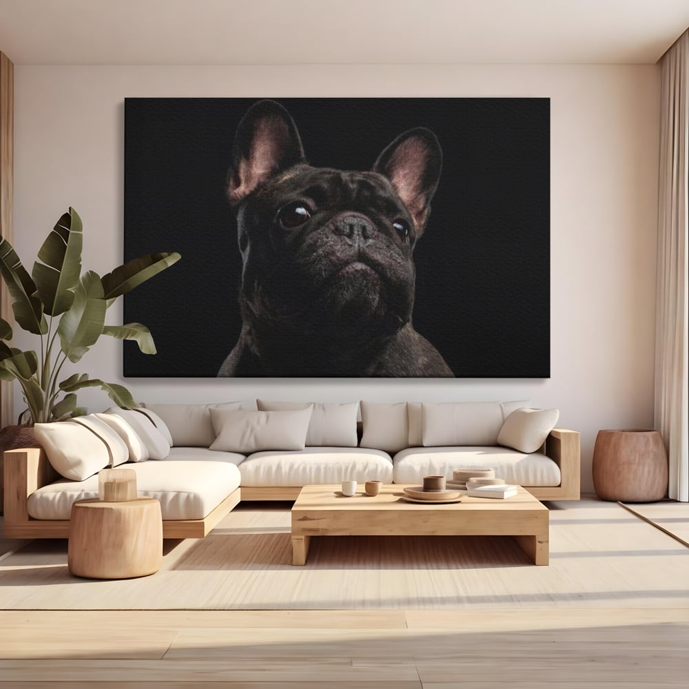 Tablou canvas cu tablou canvas cu bulldog in umbra, fara rama, pe sasiu de lemn, pe perete intr-un living