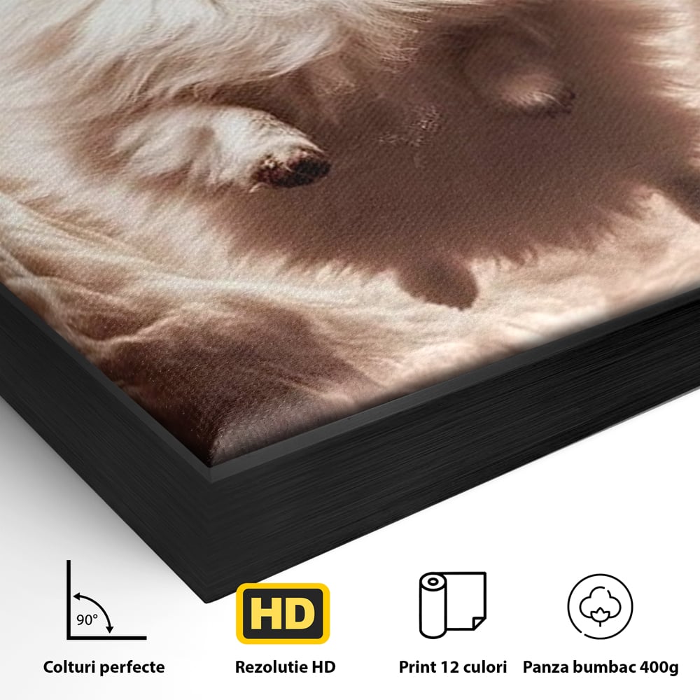 Detaliu al suprafetei: tablou canvas cu caine pomeranian pufos, in rama de aluminiu negru