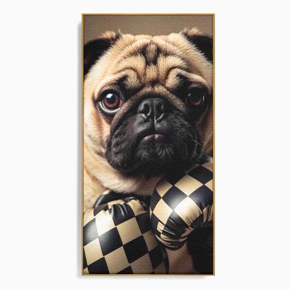 Tablou canvas cu tablou canvas cu pug in manusi de box, in rama de aluminiu auriu