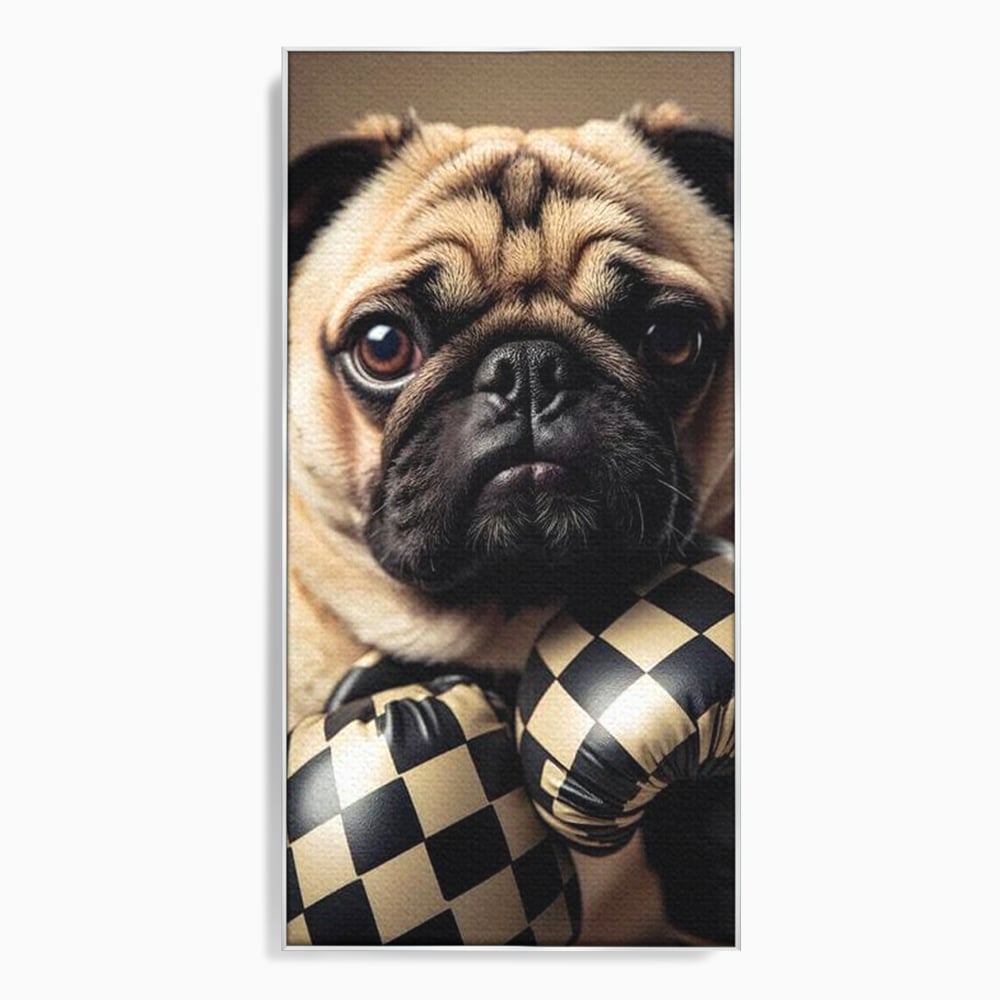 Tablou canvas cu tablou canvas cu pug in manusi de box, in rama de aluminiu argintiu