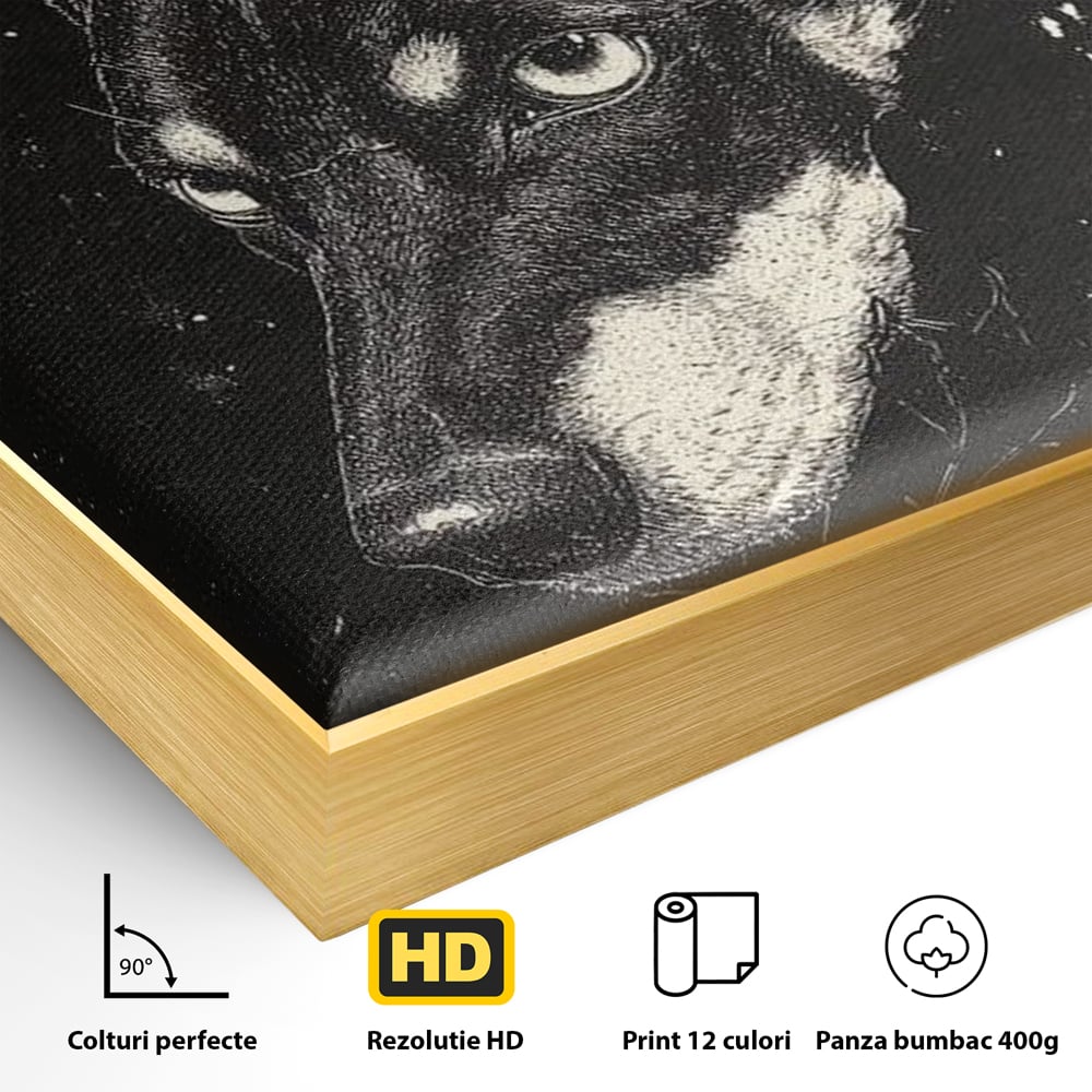 Detaliu al suprafetei: tablou canvas cu portret de caine, in rama de aluminiu auriu