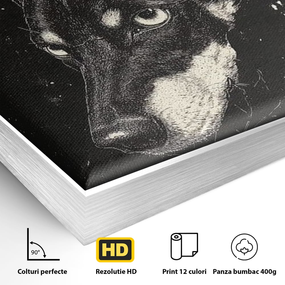 Detaliu al suprafetei: tablou canvas cu portret de caine, in rama de aluminiu argintiu