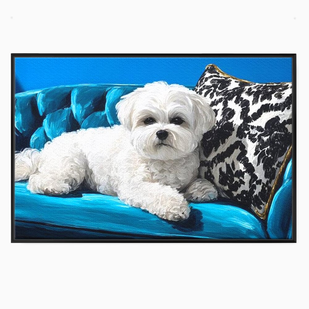 Tablou canvas cu pictura cu bichon alb pe canapea, in rama de aluminiu negru