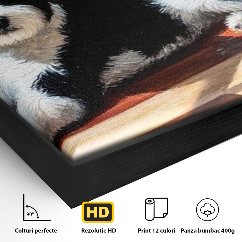 Detaliu al suprafetei: tablou canvas cu catel negru cu alb, in rama de aluminiu negru