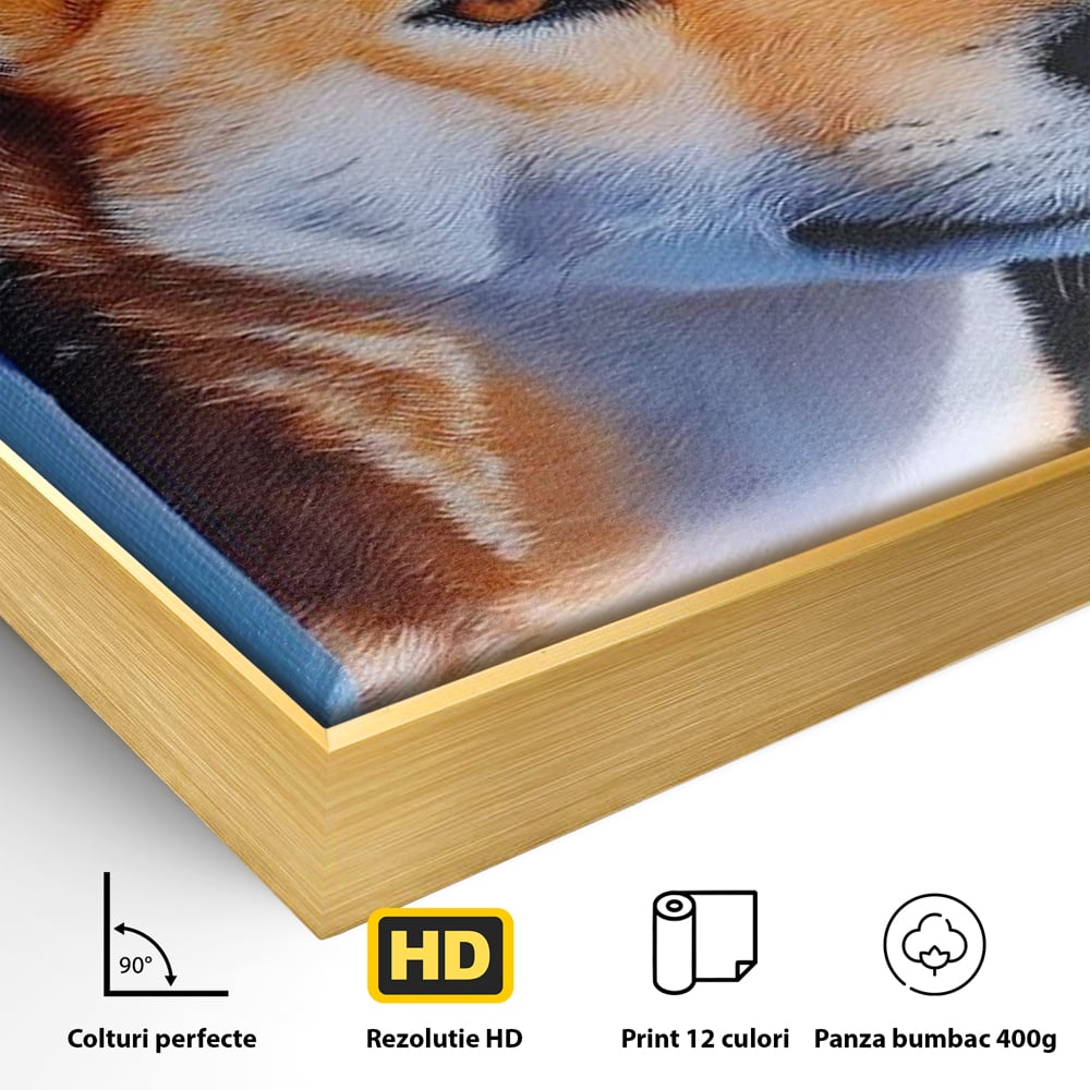 Detaliu al suprafetei: tablou canvas cu portret de caine shiba, in rama de aluminiu auriu