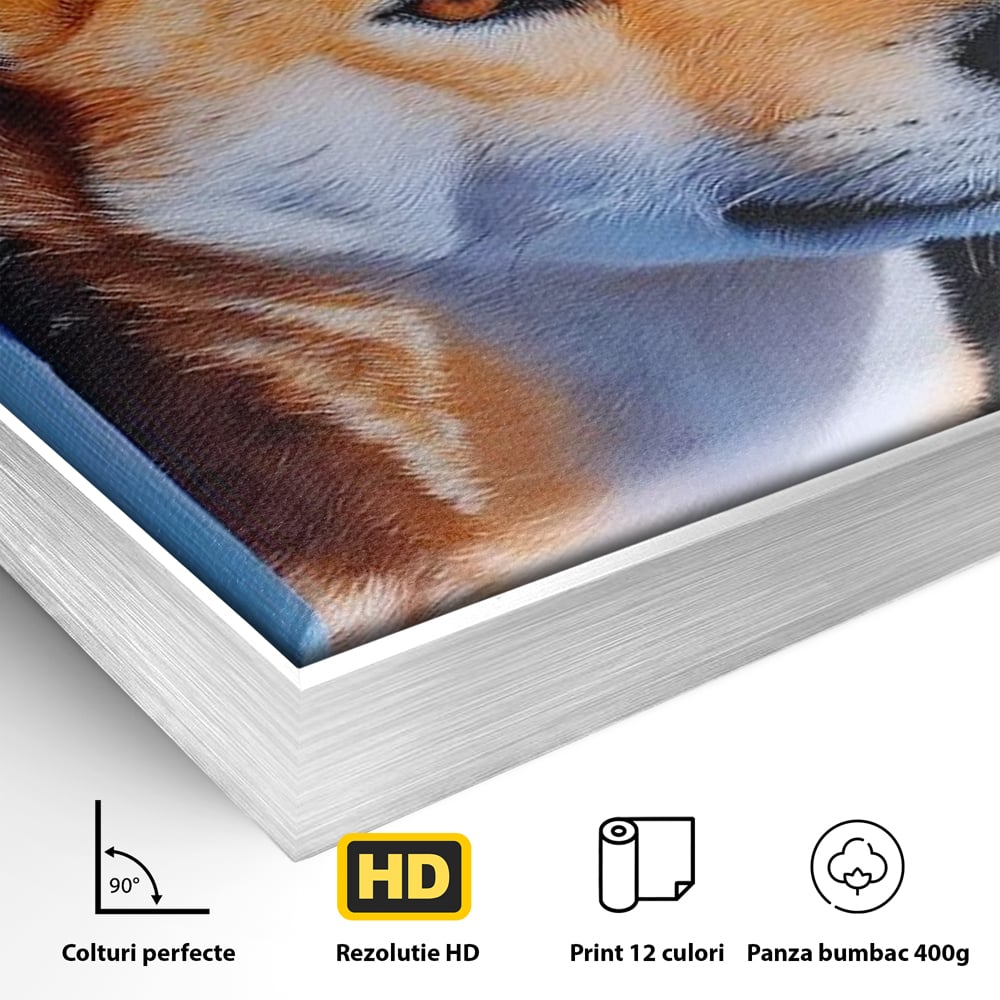 Detaliu al suprafetei: tablou canvas cu portret de caine shiba, in rama de aluminiu argintiu