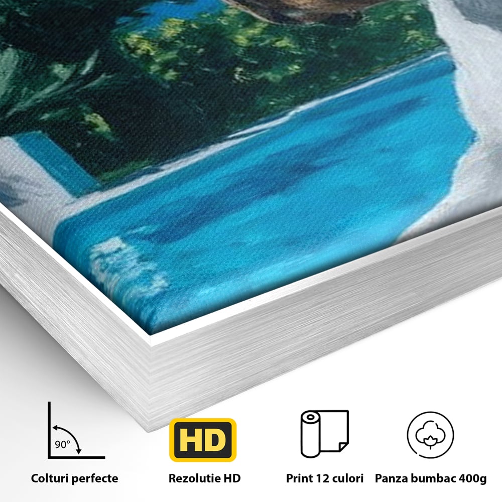 Detaliu al suprafetei: tablou canvas cu caine la piscina, in rama de aluminiu argintiu