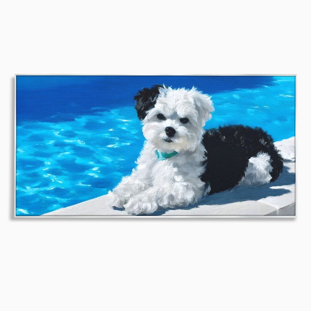 Tablou canvas cu pictura cu catel pufos langa piscina, in rama de aluminiu argintiu