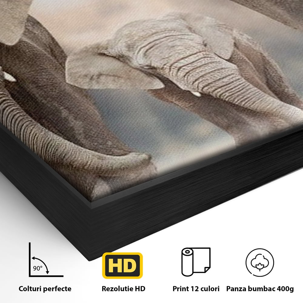 Detaliu al suprafetei: tablou canvas cu trei elefanti, in rama de aluminiu negru