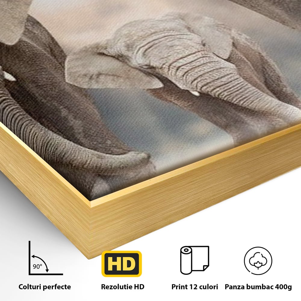 Detaliu al suprafetei: tablou canvas cu trei elefanti, in rama de aluminiu auriu