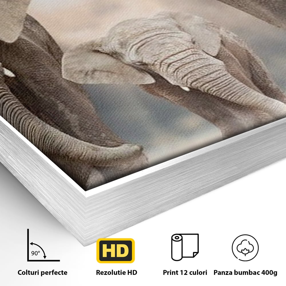 Detaliu al suprafetei: tablou canvas cu trei elefanti, in rama de aluminiu argintiu