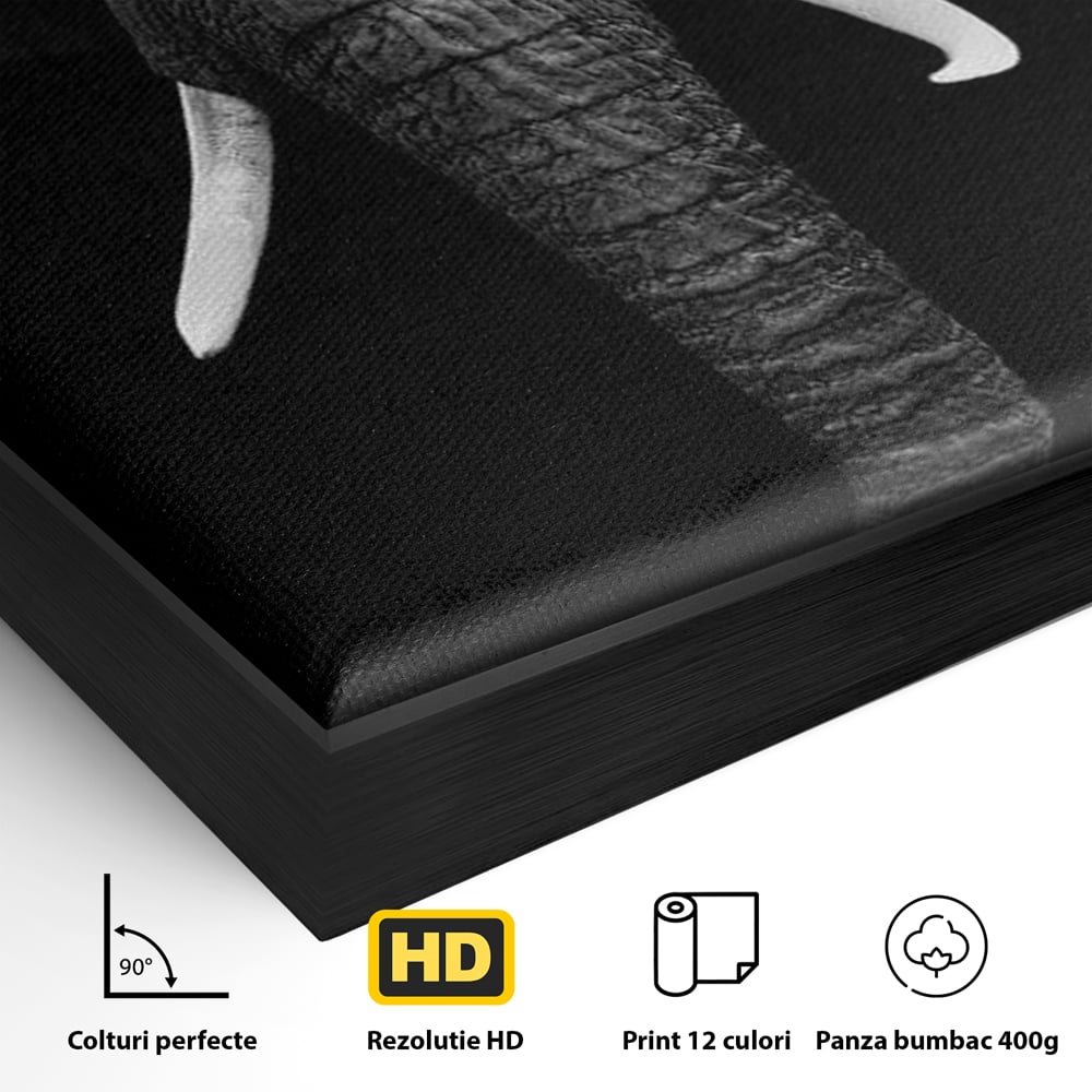 Detaliu al suprafetei: tablou canvas cu cap de elefant, in rama de aluminiu negru
