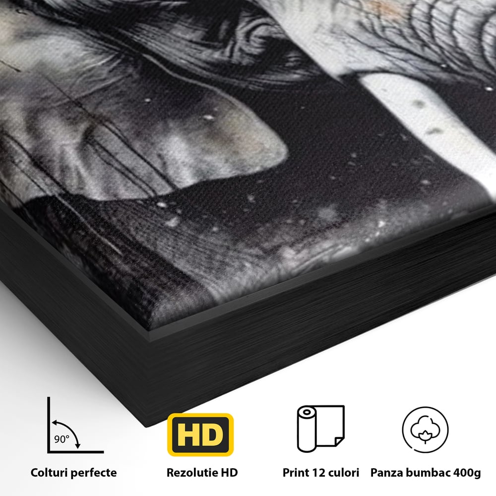 Detaliu al suprafetei: tablou canvas cu cap de elefant, in rama de aluminiu negru