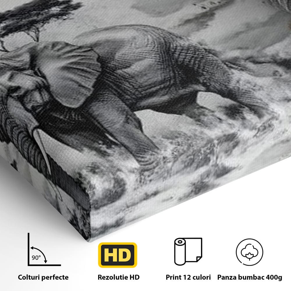 Detaliu al suprafetei: tablou canvas cu leu si elefant, fara rama, pe sasiu de lemn