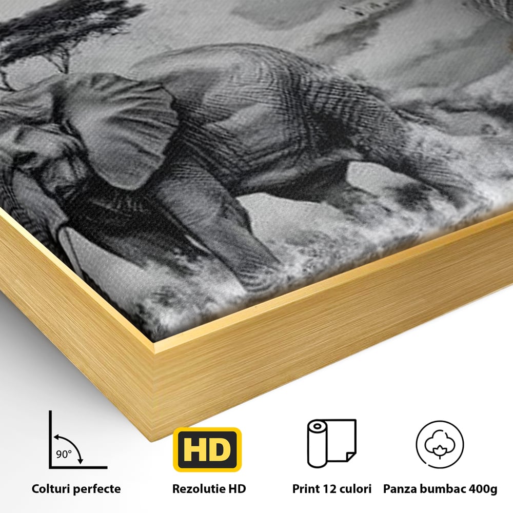 Detaliu al suprafetei: tablou canvas cu leu si elefant, in rama de aluminiu auriu