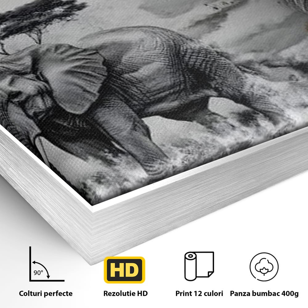 Detaliu al suprafetei: tablou canvas cu leu si elefant, in rama de aluminiu argintiu